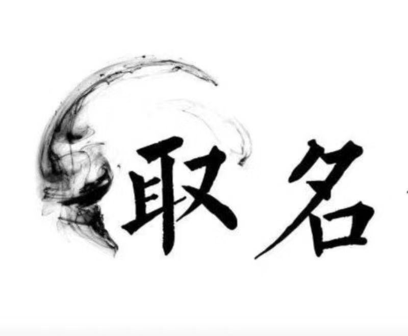  启东宝宝取名 大师一对一人工起名